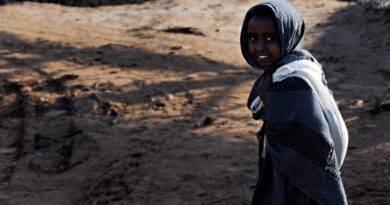 Décadas das Nações Unidas e internacionais