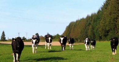 Em Abril, actividades agrícolas e outras