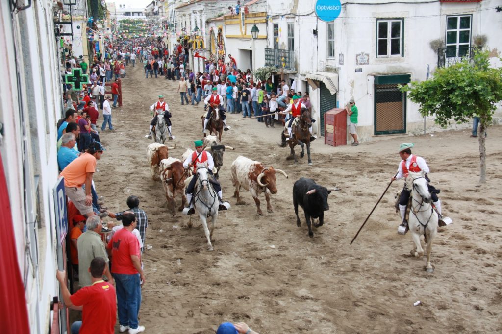 Campinos e touros na Feira de Maio em Azambuja