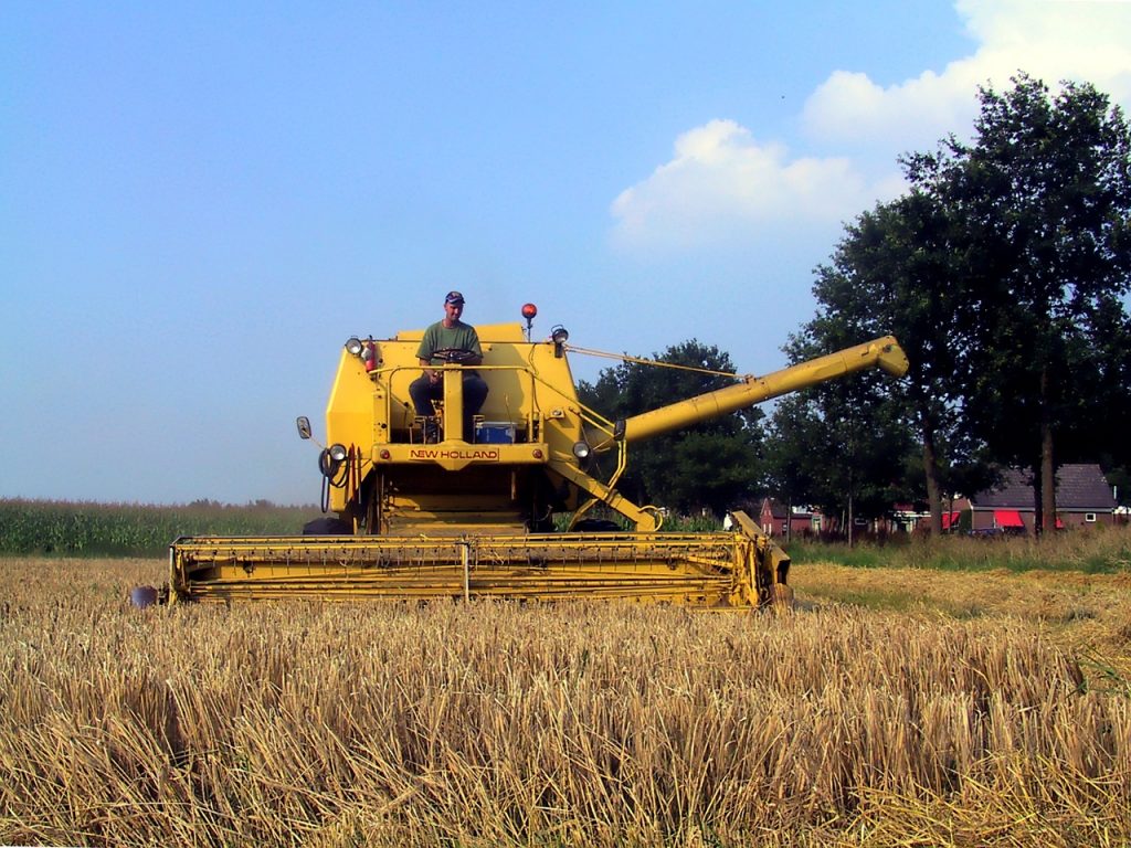 Atividades agrícolas e outras durante o mês de Agosto
