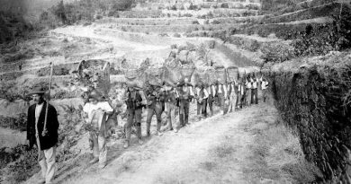 Actividades agrícolas e outras em Setembro - Vindimas