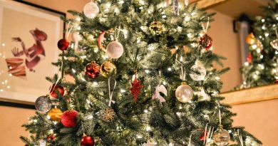 A Lenda da Árvore de Natal - Tradições Transmontanas