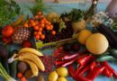 Frutas e legumes que se devem consumir em Novembro