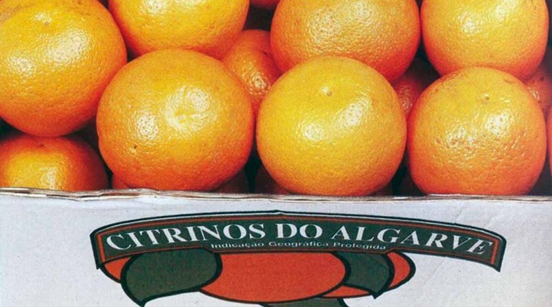 Citrinos do Algarve – frutos saborosos e certificados