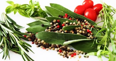 As ervas aromáticas na nossa alimentação