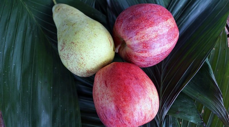 Maçã e Pêra – consumir só faz bem!