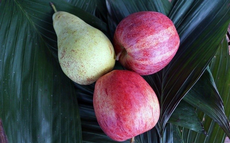 Maçã e Pêra – consumir só faz bem!