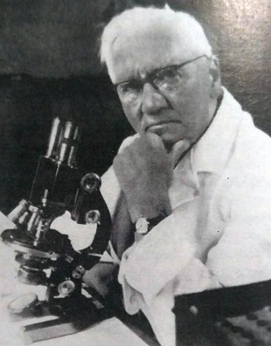 Alexander Flemming descobriu a penicilina, um dos antibióticos