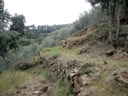 Lagar da Sancha - Sabrosa