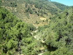 Lagar da Sancha - Sabrosa