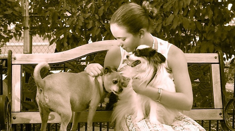 Os cães e as crianças. O quer importa saber.