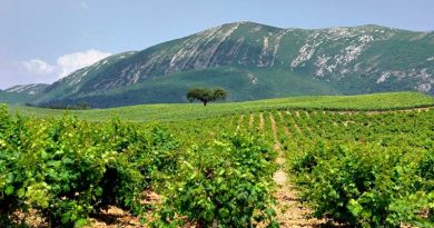 Rota de Vinhos da Península de Setúbal