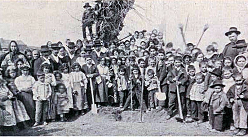 Dia da Árvore | Festa em Viana do Castelo - 1914