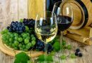 Vinho novo: seja tinto ou branco, verde ou maduro. O que importa é que seja bom!