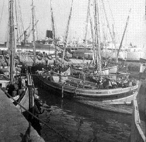 Faluas no cais do Jardim de Tabaco.