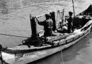 Embarcações tradicionais portuguesas - Saveiro no rio Sado!