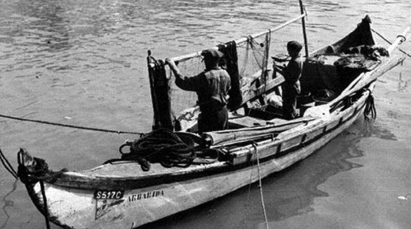 Embarcações tradicionais portuguesas - Saveiro no rio Sado!