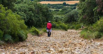 Caminho da Geira Romana - Caminhos de Santiago