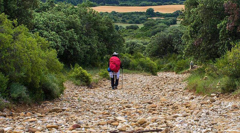 Caminho da Geira Romana - Caminhos de Santiago