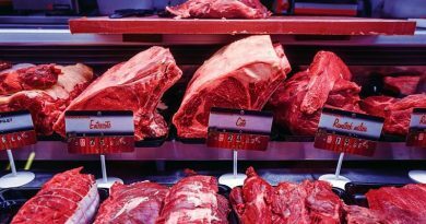 A carne na saúde e no ambiente