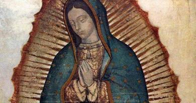 Nossa Senhora de Guadalupe - proteção contra o coronavírus - Covid-19
