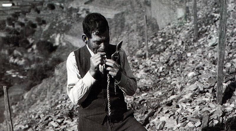 A poda das videiras é o recomeço de um ciclo!