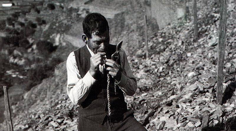 A poda das videiras é o recomeço de um ciclo!