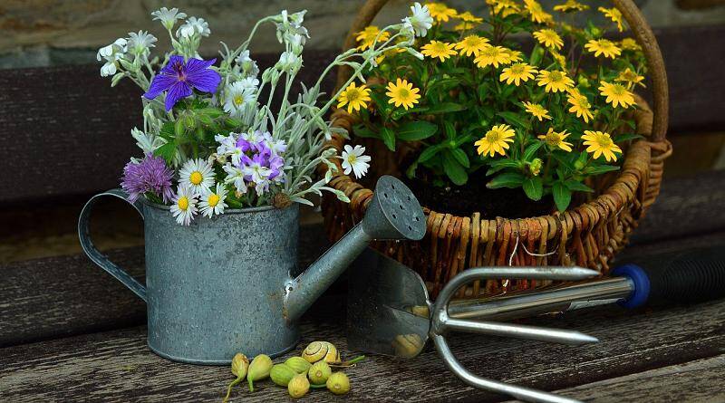 A floricultura em Novembro… no Almanaque de 1959!