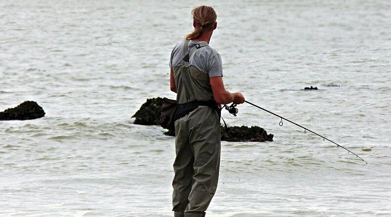 A pesca em Novembro, no mar e nos rios