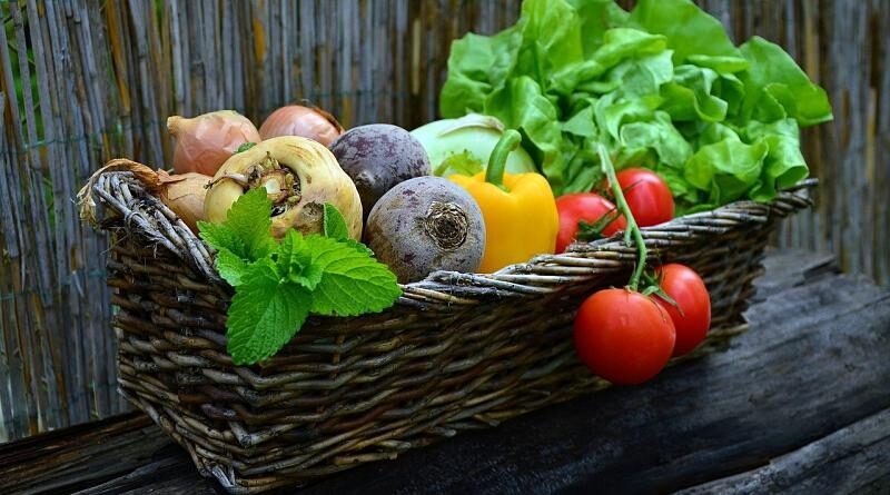 As vitaminas -  origem e utilização (síntese)