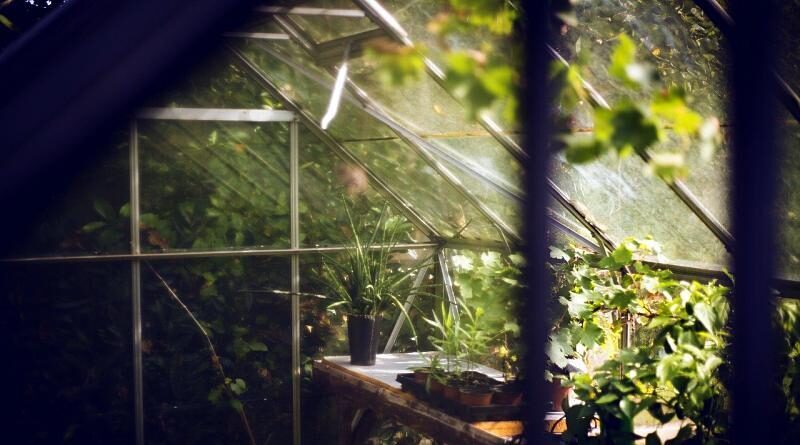 Construir uma estufa para utilização na floricultura