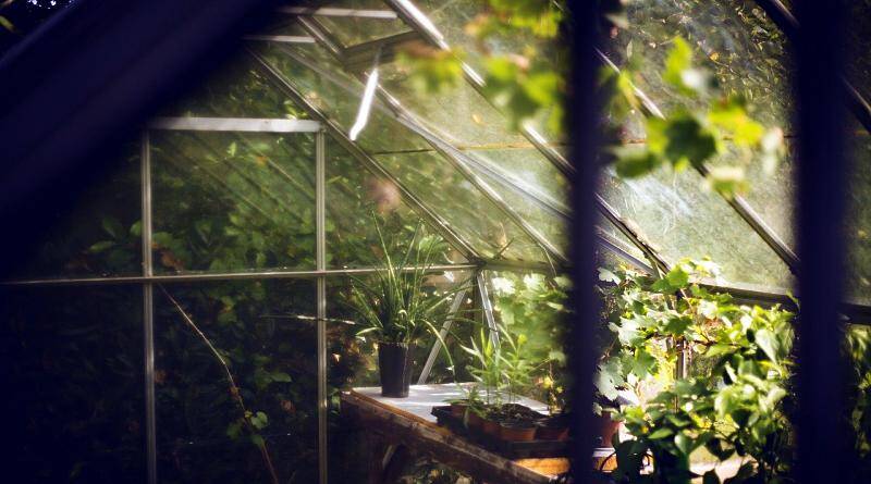 Construir uma estufa para utilização na floricultura