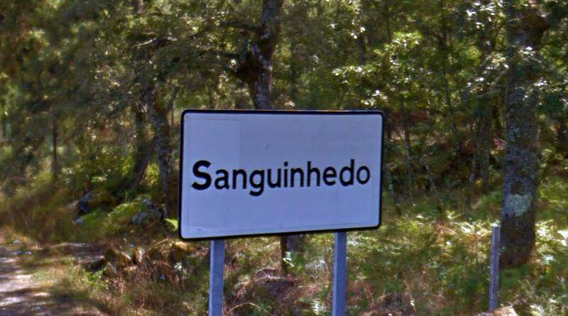 A Sinonímia relacionada com o património vegetal