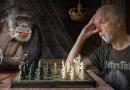 Macacos que foram protagonistas de histórias antigas!