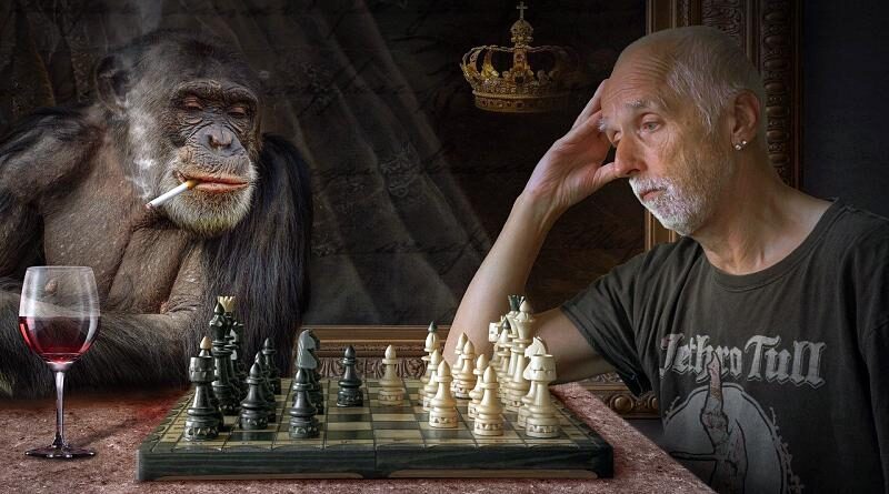 Macacos que foram protagonistas de histórias antigas!