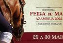 Feira de Maio, a mais castiça das Festas Ribatejanas
