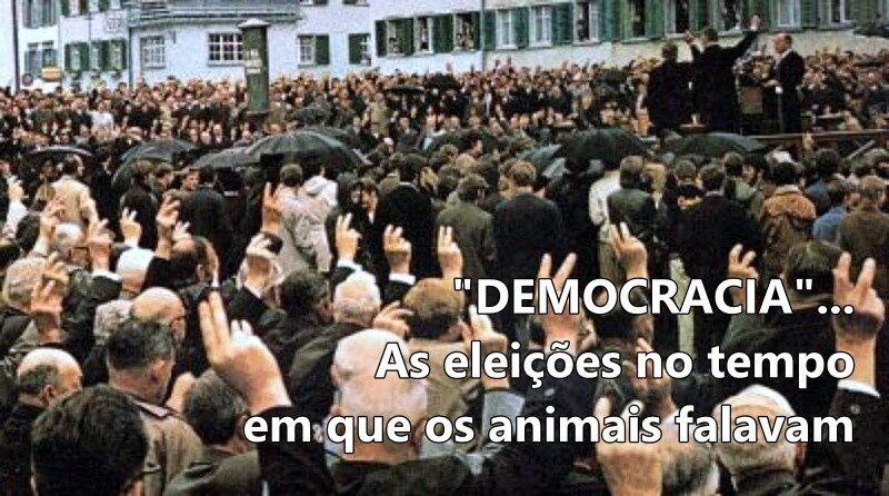 Democracia: as eleições no tempo em que os animais falavam!
