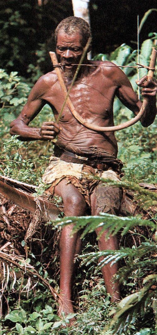 Músico da Indonésia