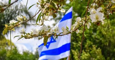 A criação do Estado de Israel e a oposição dos países árabes