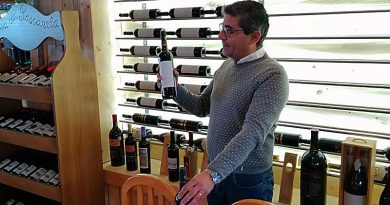 Empresário inova ao estagiar vinho no ponto mais alto de Portugal continental