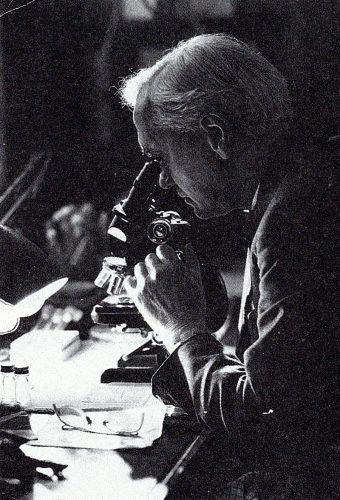 Sir Alexander Fleming a trabalhar no seu laboratório