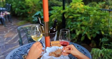 O enoturismo em Portugal é uma experiência única e inesquecível