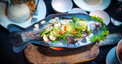 As proteínas: pilares da vida e da saúde