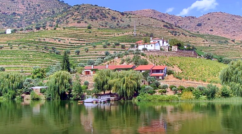 As paisagens do douro: um encanto entre vinhas e história 