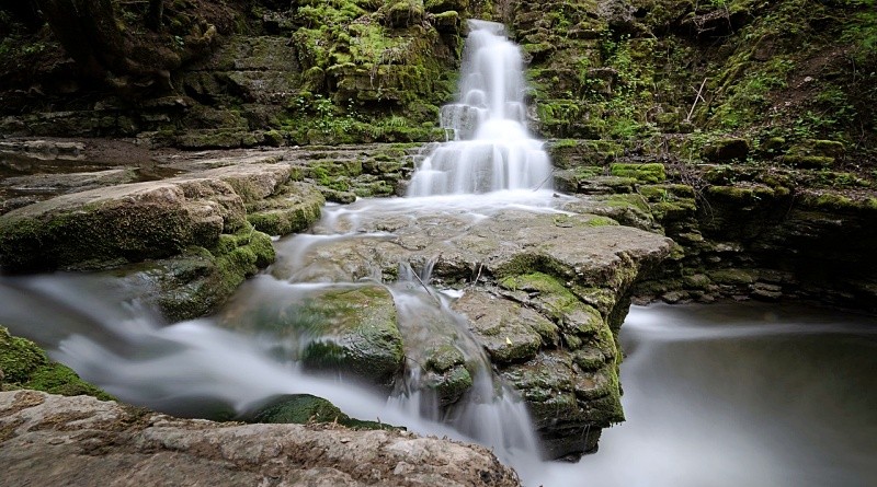 O que importa saber sobre a água, fonte de vida