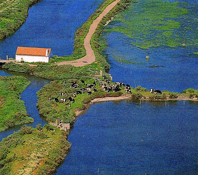Rio Tejo em Alcochete