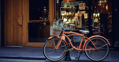 Dia Mundial da Bicicleta - 3 de junho