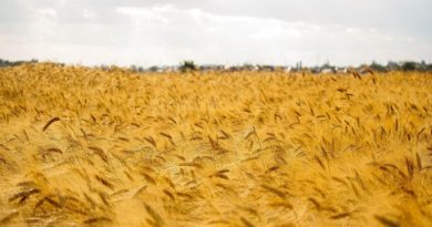 Agosto: história, curiosidades e significados do oitavo mês do ano