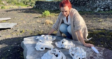 "Guardiões de Cerâmica" de Marta Rézio encontram nova casa na MiratecArts Galeria Costa