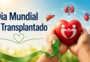 Dia Mundial do Transplantado – 6 de junho